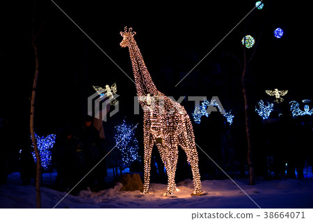 京畿道加平郡早晨平靜植物園 38664071