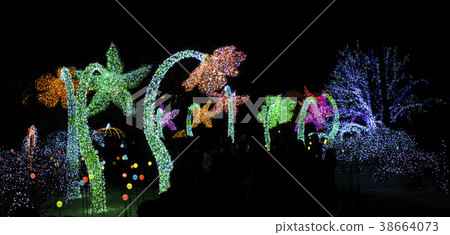 京畿道加平郡早晨平靜植物園 38664073