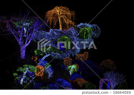 Morning Calm Arboretum, Gapyeong-gun, Gyeonggi-do Morning Calm Arboretum, Gapyeong-gun, Gyeonggi-do 38664089