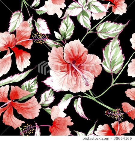 Wildflower rose flower pattern in a watercolor 38664169