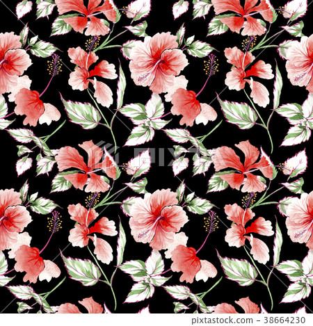 Wildflower rose flower pattern in a watercolor Wildflower rose flower pattern in a watercolor 38664230
