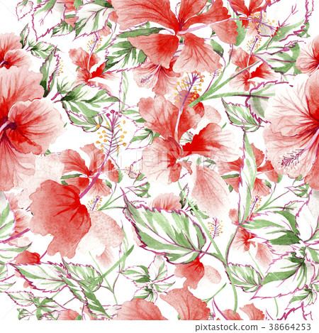 Wildflower rose flower pattern in a watercolor Wildflower rose flower pattern in a watercolor 38664253