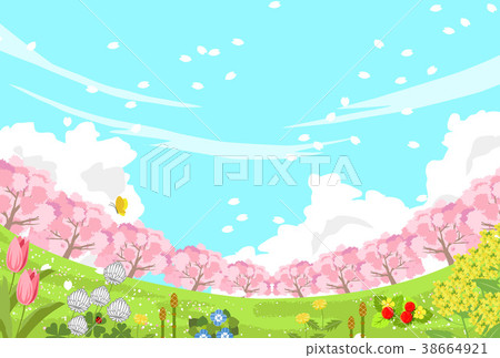 Field of spring 38664921