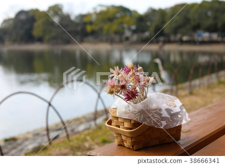 Dried flower Dried flower 38666341
