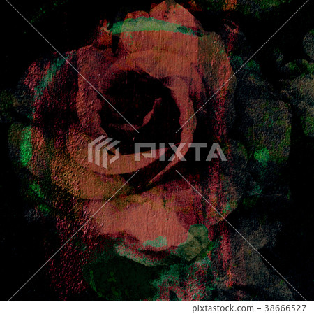 Magic rose, flower dark rose painted 38666527