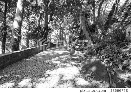 [Monochrome] Moorish Wall-Portugal 38666758