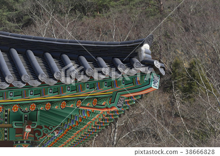 Hwaeomsa(歷史遺址No。505),Jiri Mountain,Gurye-gun,Jeonnam Hwaeomsa(歷史遺址No。505),Jiri Mountain,Gurye-gun,Jeonnam 38666828