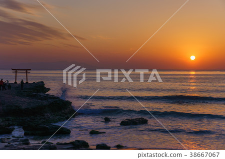 [Shizuoka Prefecture] Izu's oldest Shirahama Shrine, sea torii, dawn 38667067