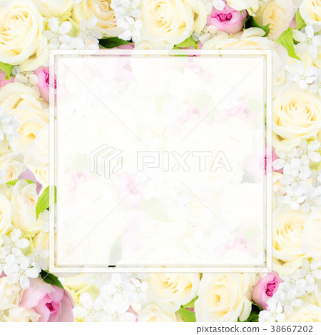 Background - Flower - Frame 38667202