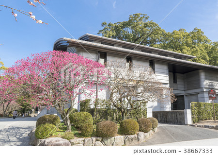 太宰府天滿宮珍寶館 太宰府天滿宮珍寶館 38667333