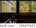 從溫泉看的秋葉 38667441