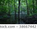 安靜的森林 38667442