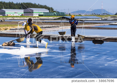 Taepyong Yinjeon, Jindo, Shinan County, Jeonnam Taepyong Yinjeon, Jindo, Shinan County, Jeonnam 38667696