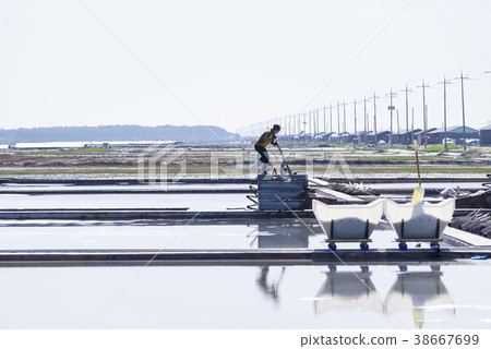 Taepyong Yinjeon, Jindo, Shinan County, Jeonnam 38667699