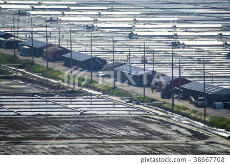 Taepyong Yinjeon, Jindo, Shinan County, Jeonnam 38667708