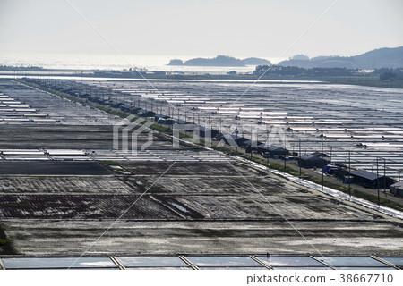 Taepyong Yinjeon, Jindo, Shinan County, Jeonnam 38667710