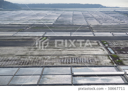 全南市石南縣Jindo的Taepyong Yinjeon 38667711