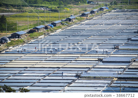 全南市石南縣Jindo的Taepyong Yinjeon 全南市石南縣Jindo的Taepyong Yinjeon 38667712