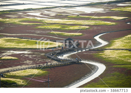 Taepyong Yinjeon, Jindo, Shinan County, Jeonnam 38667713