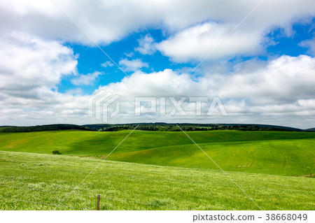 北海道大草原牧场 图库照片