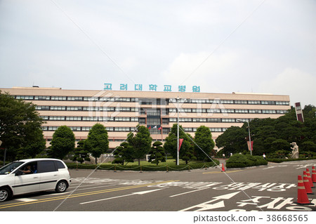 Korea University Hospital, Seongbuk-gu, Seoul 38668565