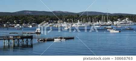 Boats and yachts moored in a harbor in Maine 38668763