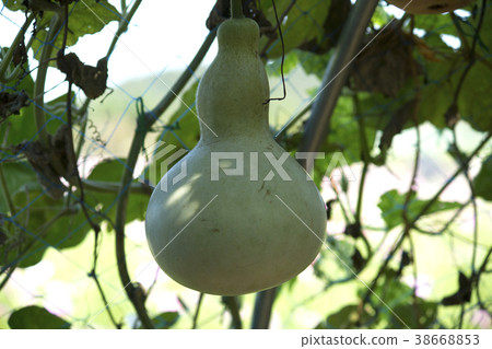 仁川西區夢園 38668853