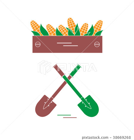 Cute vector illustration of harvest Cute vector illustration of harvest 38669268