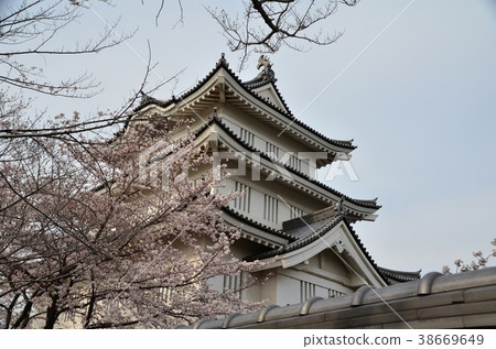 大城和櫻花 38669649