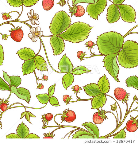 strawberry plant vector pattern strawberry plant vector pattern 38670417