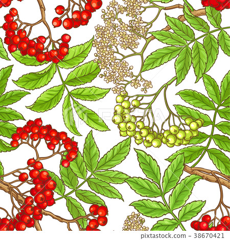 rowan branch vector pattern rowan branch vector pattern 38670421