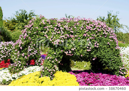 仁川西區夢園 38670460