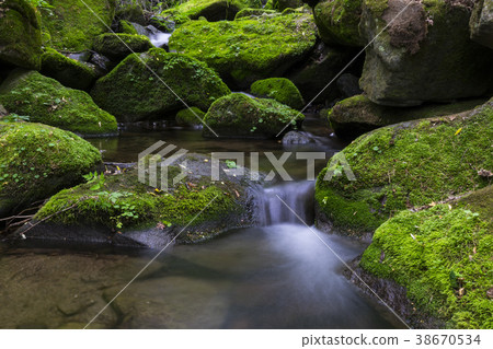 江原道苔蘚谷 38670534