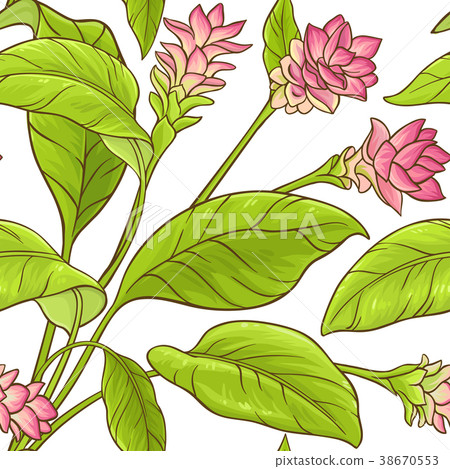 turmeric vector pattern 38670553