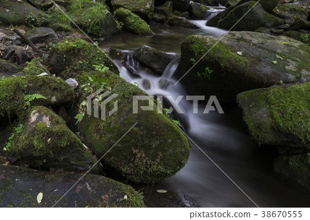 Mossy Valley, Gangwon Province 38670555
