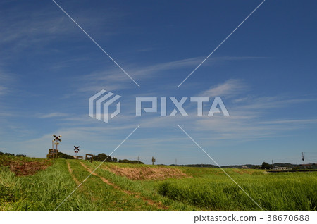 Isumi Railway 2號Kinomachi鐵路道口 38670688