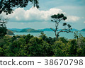 Scenery of trees, sea and mountains. 38670798