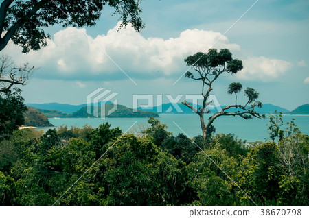 Scenery of trees, sea and mountains. 38670798