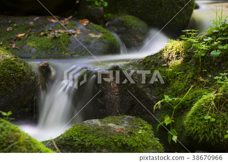 Mossy Valley, Gangwon Province 38670966