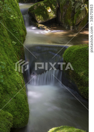 Mossy Valley, Gangwon Province 38670983