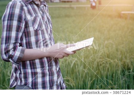 agriculture technology, farmer man using tablet. 38671224