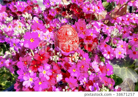 Easter egg Easter egg 38671257