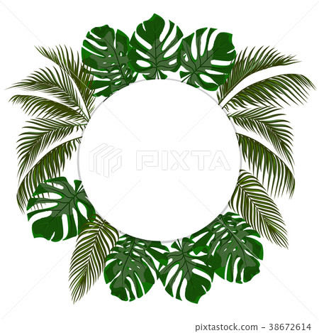 Green leaves of tropical palms in a circle 38672614