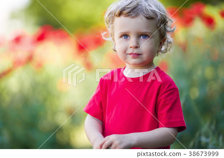 A small blond boy is holding red poppy flower 38673999