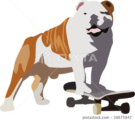 狗狗 狗狗 38675847