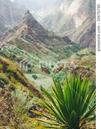 Xo-xo valley and Lombo de pico. Trakking route 202 Xo-xo valley and Lombo de pico. Trakking route 202 38676780