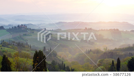 foggy morning at the Toscana 38677126
