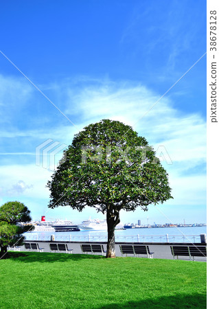 Yamashita公園的巨型Matebasi Yamashita公園的巨型Matebasi 38678128