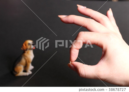 小狗和好的標記 小狗和好的標記 38678727