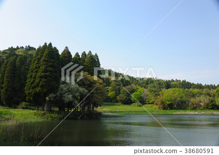 湖池塘自然環境沼澤湖新鮮的綠色海濱 湖池塘自然環境沼澤湖新鮮的綠色海濱 38680591
